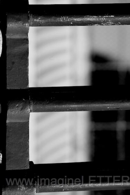 Wall_Art_Alphabet_Photography_Art_ 562.jpg